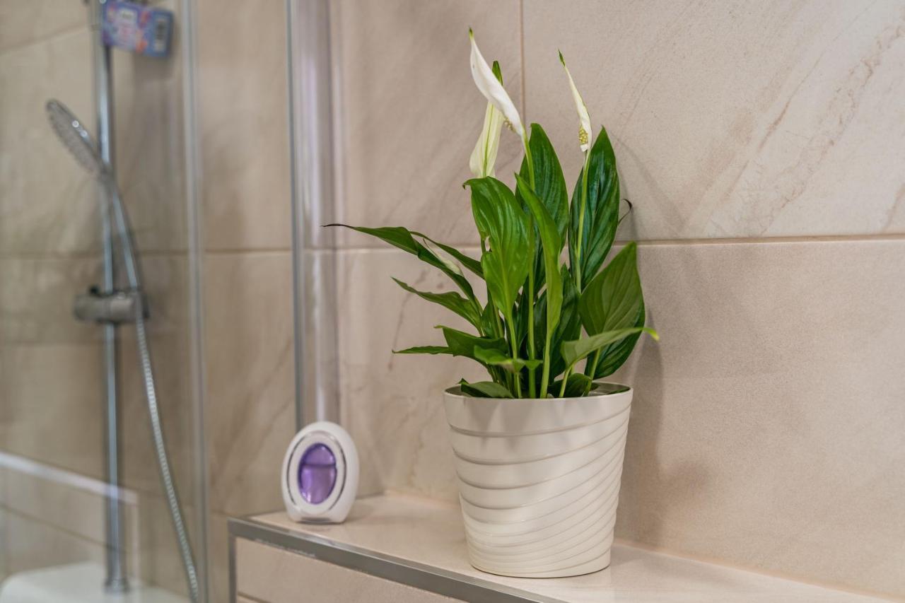 Apartmani Kralj Dubrovnik Luaran gambar